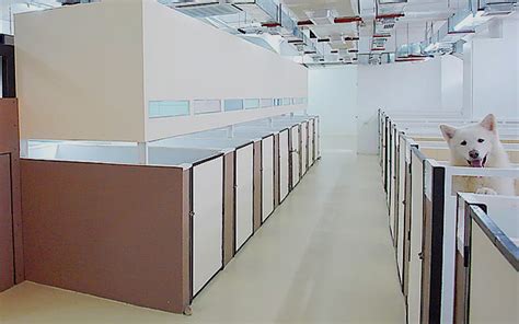 dog hotel manila|hotel for dog near me.
